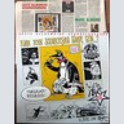 DLP /  EAV / RARITÄT / Mit Zeitungs Bericht /