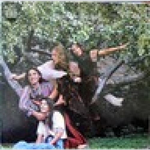 LP / INCREDIBLE STRING BAND / FOLK / RARITÄT /