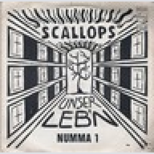 Single / SCALLOPS / RARITÄT /