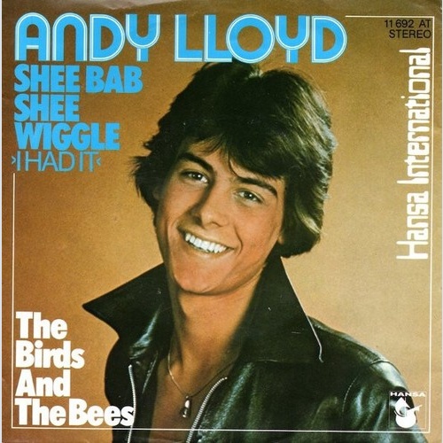 Andy Lloyd - Shee Bab Shee Wiggle (I Had It) (7", Single)