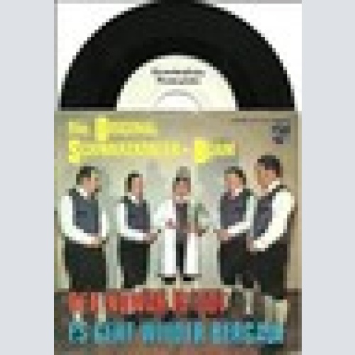 Single / DIE ORIGINAL SCHWARZATALER-BUAM / MUSTER /