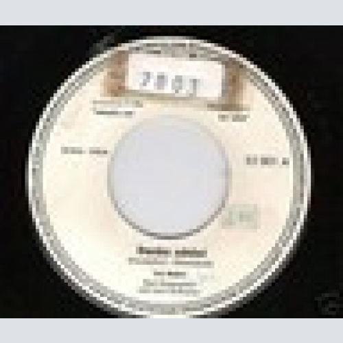 Single--Ivo  Robic------RARE   Musterplatte-