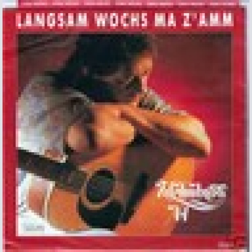 Single / W.AMBROS / DINO MUSIC / PRODUCT FACT / RAR /