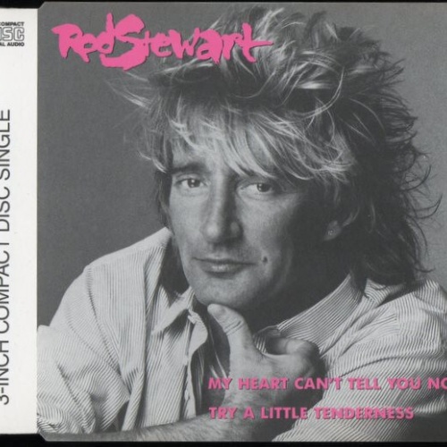 Rod Stewart - My Heart Can't Tell You No (CD, Mini, Single)