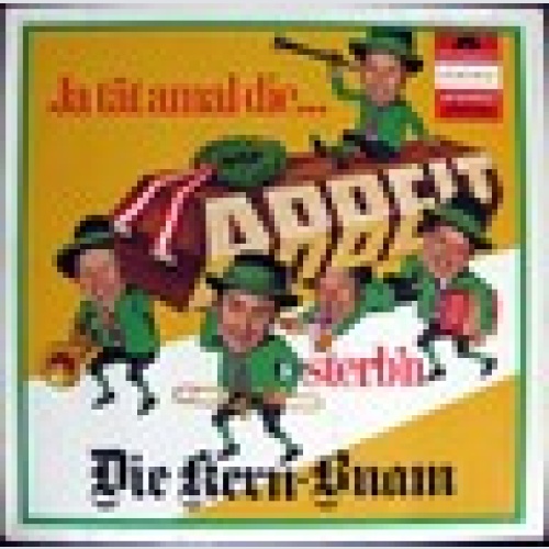 LP / DIE KERN BUAM / AUSTRIA / RARITÄT /