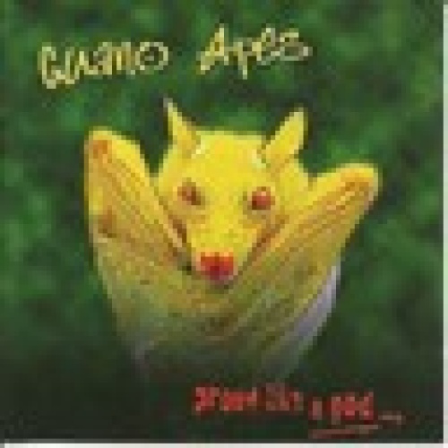 CD / GUANO APES / TOP / SELTEN /