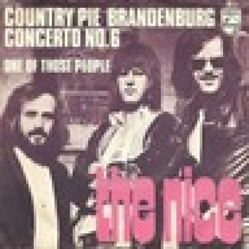 Single / THE NICE / TOP / RARITÄT /