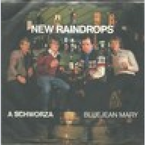 Single / NEW RAINDROPS / AUSTRIA / RARITÄT /