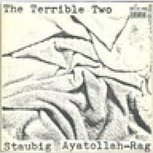 Single / THE TERRIBLE TWO / AMBROS / PROKOPETZ / RAR / AUSTRIA /