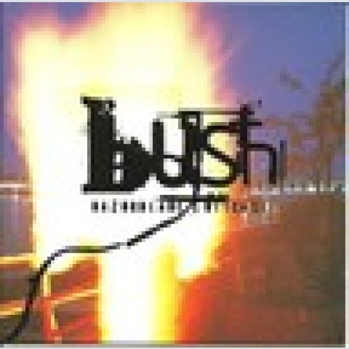 CD / BUSH / TOP / SELTEN /