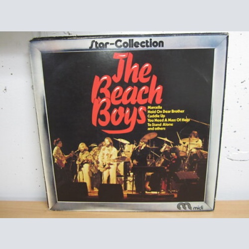 LP /  The Beach Boys ?– The Beach Boys   / DE  PRESS / RAR /
