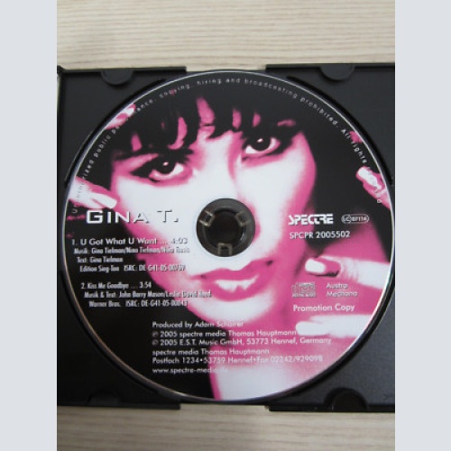 CD / GINA T. -- U GOT WHAT U WANT...  / PROMO / MUSTER / AUSTRIA / RAR