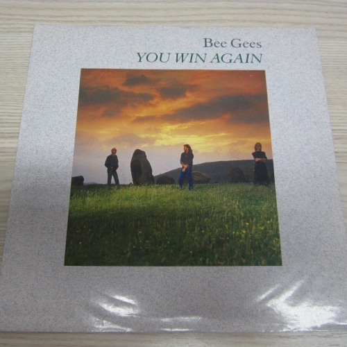 Single /   Bee Gees ?– You Win Again     / DE  PRESS / RAR /