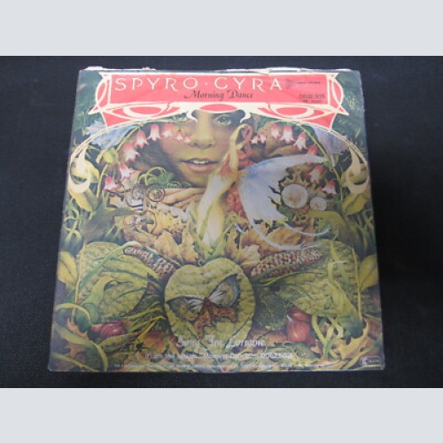 Single /  Spyro Gyra – Morning Dance  / DE PRESS /