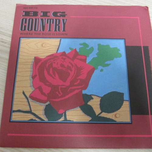 Single /  Big Country ?– Where The Rose Is Sown      /  DE    PRESS / RAR /