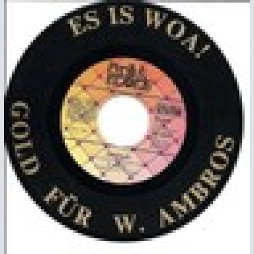 GOLD FÜR W.AMBROS -ES IS WOA ! TOP RARITÄT -UNIKAT-