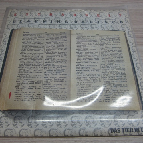 Single  /  Extrabreit ?– Learning Deutsch    / DE PRESS /   RAR  /