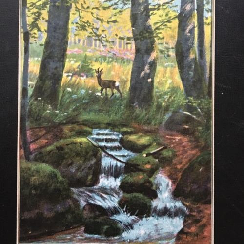 Waldlandschaft mit Reh - Bach - Waldlichtung - Künstlerkarte 909 TH F