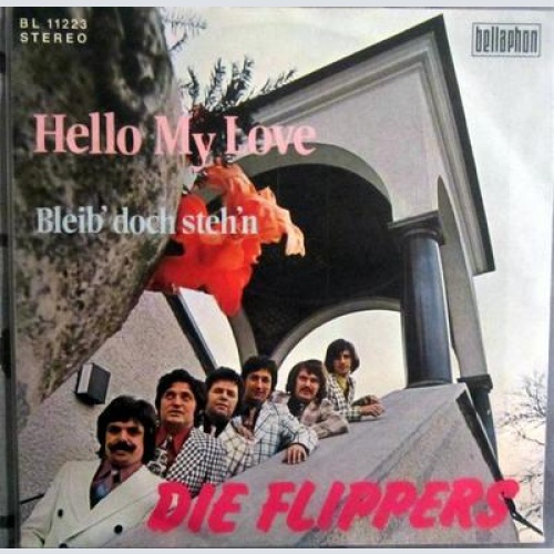 Single / FLIPPERS / RARITÄT /