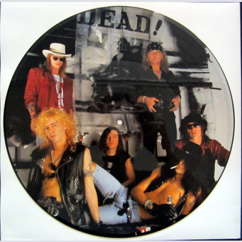 LP / PICTURE DISC / GUNS'N ROSES  / RARITÄT /