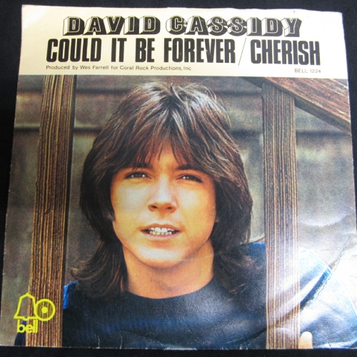 Single /  David Cassidy ?– Could It Be Forever / Cherish   / UK PRESS / RAR /