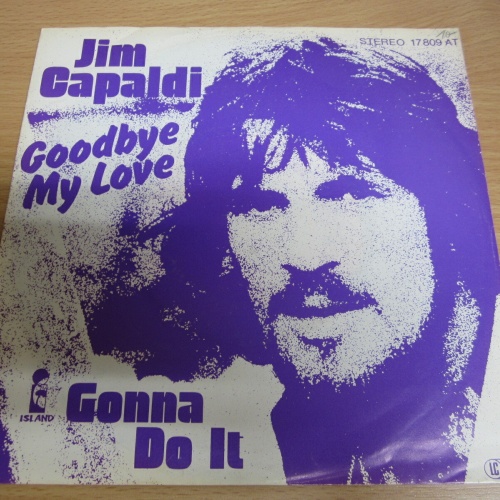 Single  /   Jim Capaldi ?– Goodbye My Love / DE   PRESS / RAR /