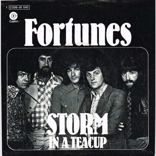 Fortunes* - Storm In A Teacup (7", Single)