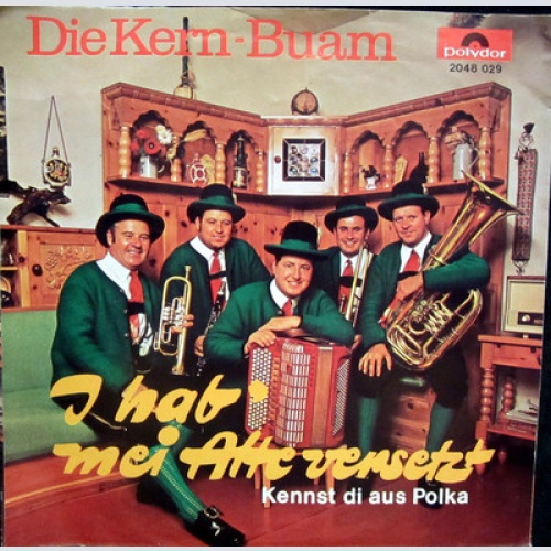 Single / DIE KERN BUAM / AUSTRIA / 1971 / AUSTRIA / RARITÄT /