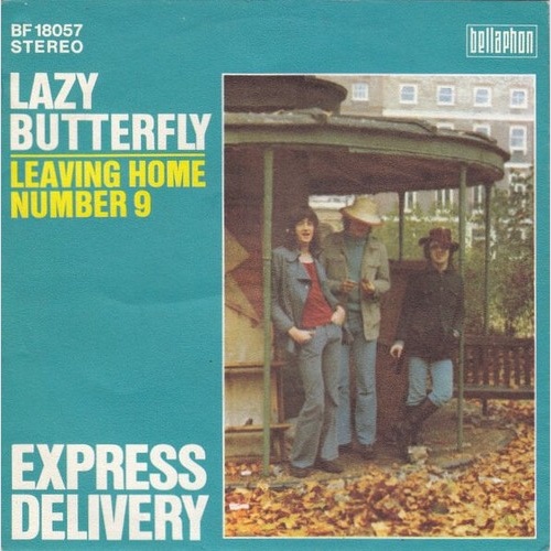 Express Delivery - Lazy Butterfly  (7", Single)