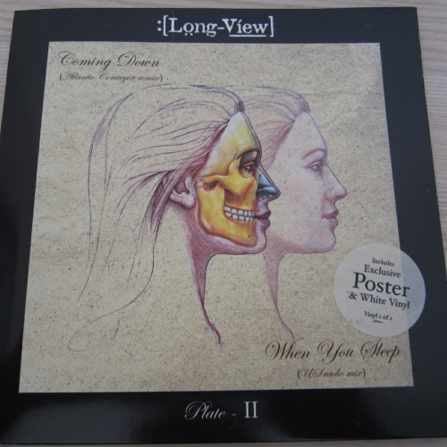 Single / Long-View  ?– Coming Down  / UK PRESS /  RAR / White, 1/2 /