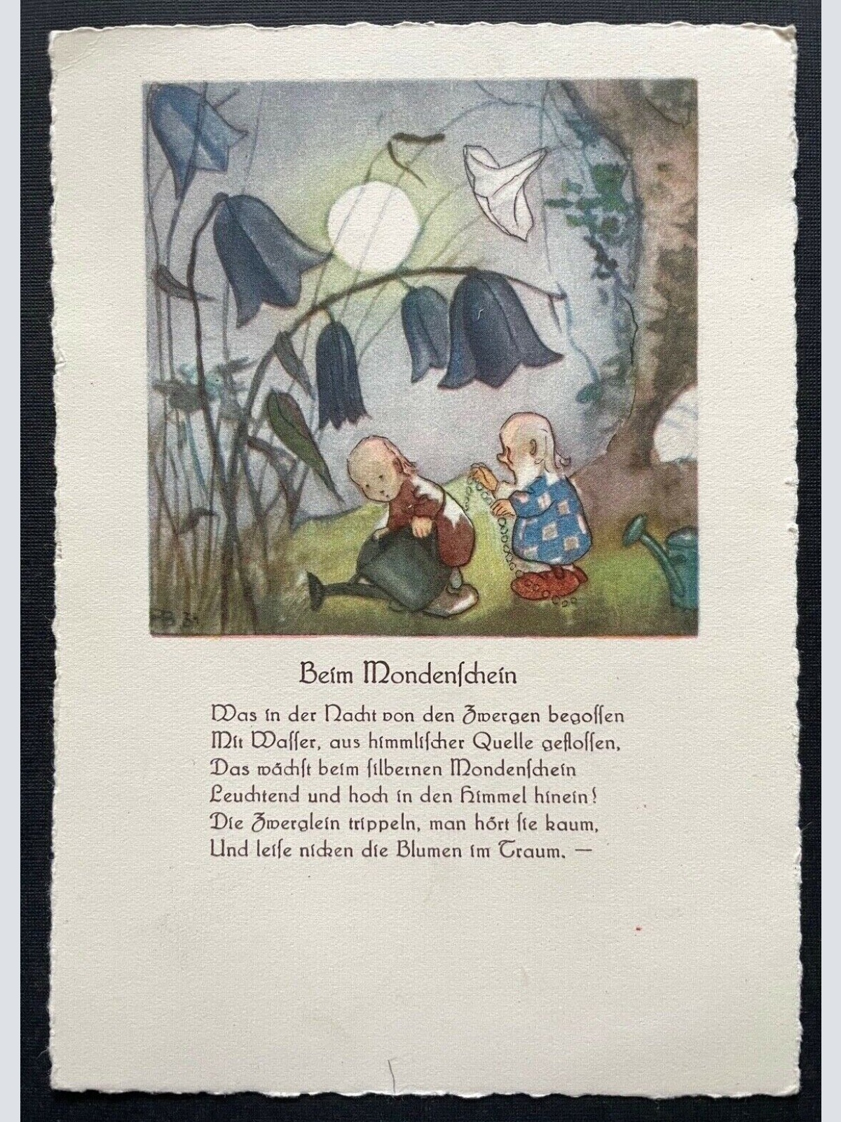 Beim Mondenschein Zwerge Gedicht Text Geschichte Giesskanne Blumen 410082 TH