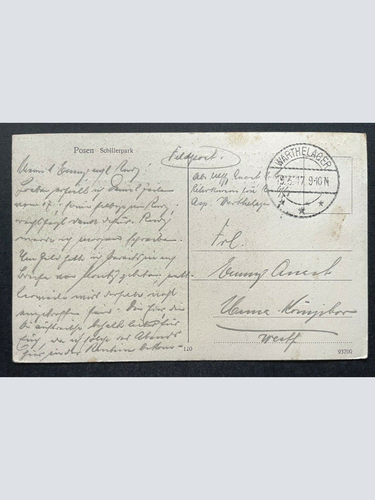 Posen Poznań Schillerpark Stadt Frau Parkbank Turm Polen 410109 TH D