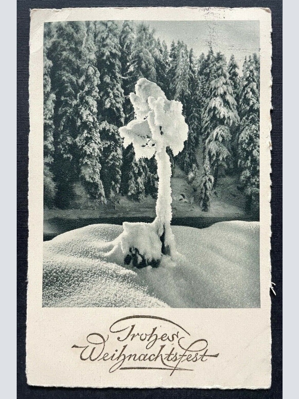 Frohes Weihnachtsfest Winter Landschaft Schnee Eis Wald Baum Tannen 410107 TH C