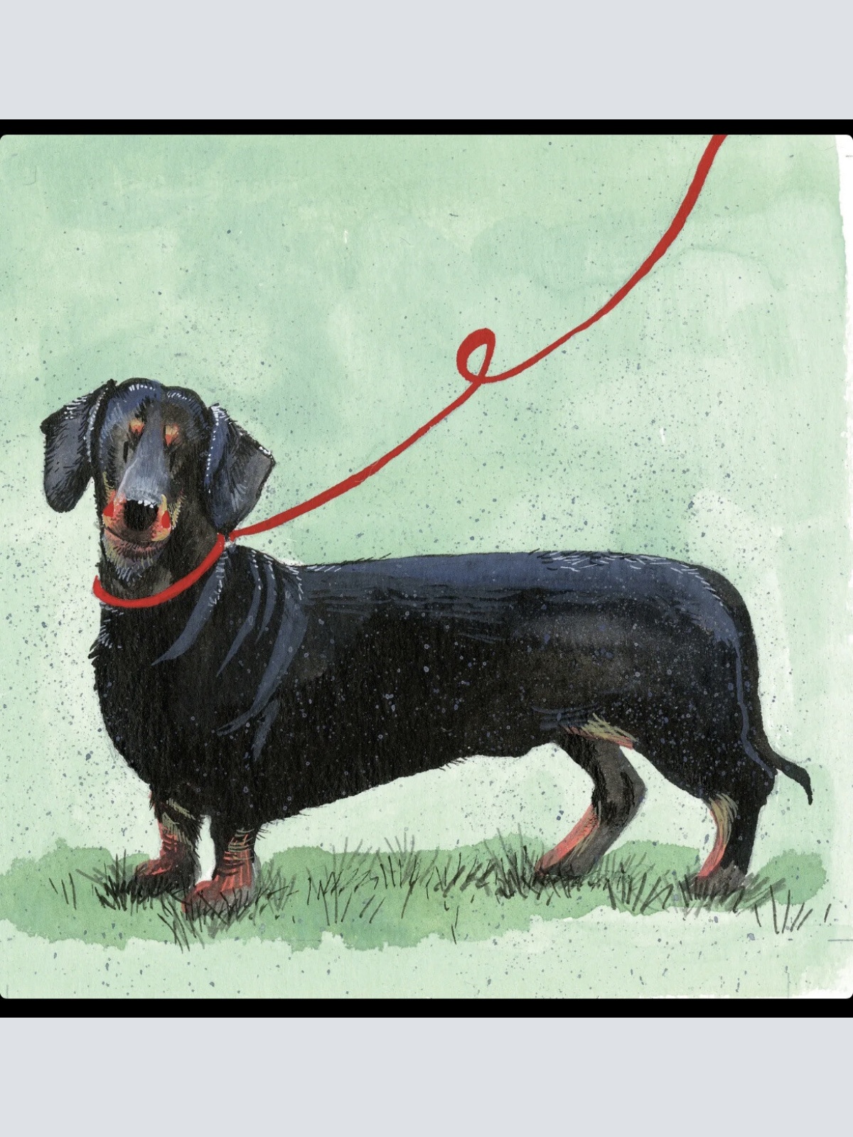 Alex Clark  Dachshund Dachs Grußkarte  140x140 mm incl. Umschlag     0001