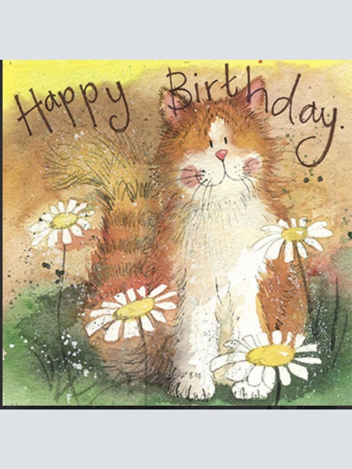 Alex Clark Katze Cat and Daisies Grußkarte  140x140 mm incl. Umschlag     0004