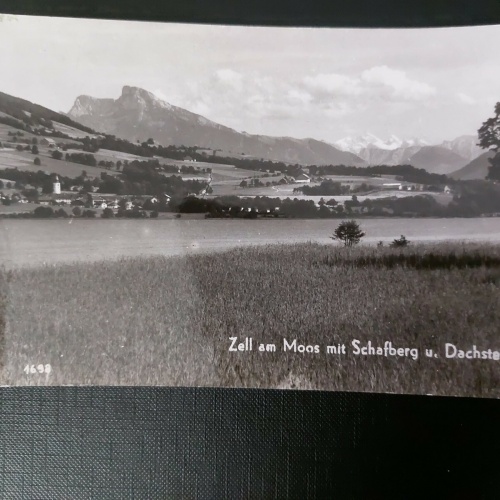 Zell am Moos mit Schafberg und Dachstein Alpen Gletscher Berg 402603 WM