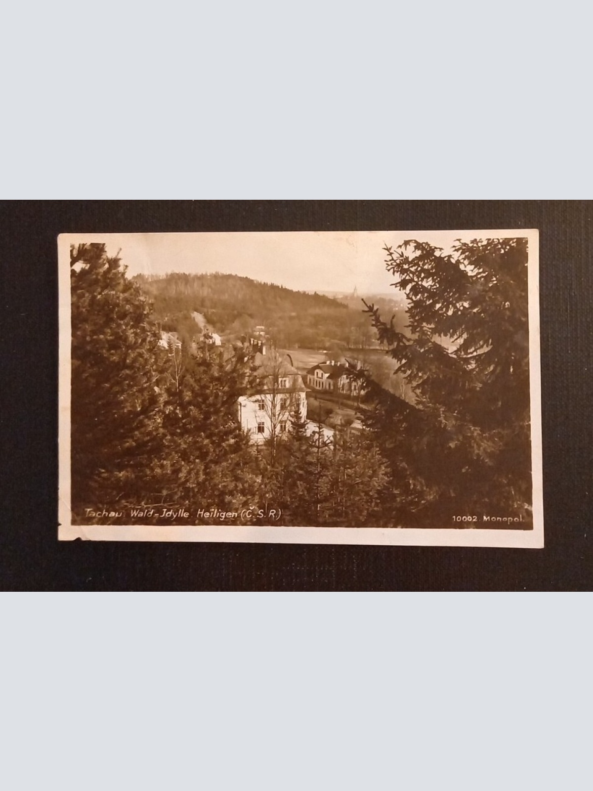 Tschau Wald Idylle 800122 Ga G