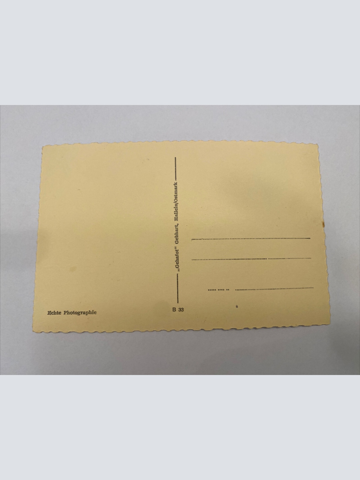Die alte Salzstadt Hallein gegen das Tennengebirge 60242