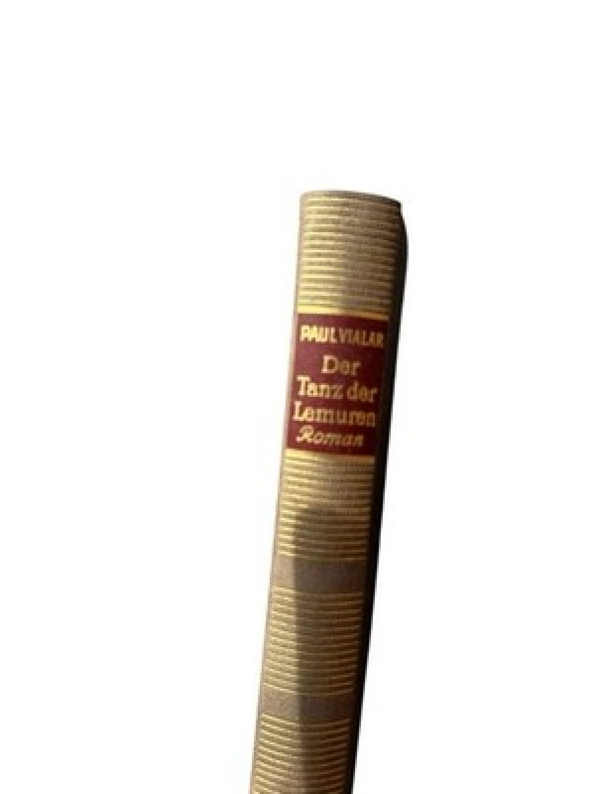 Der Tod ist ein Beginn. Der Tanz der Lemuren. Roman. Aus dem Französischen von R