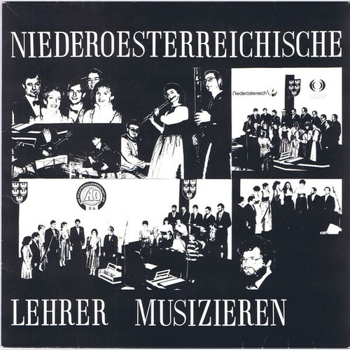 Various - Niederösterreichische Lehrer Musizieren (LP)