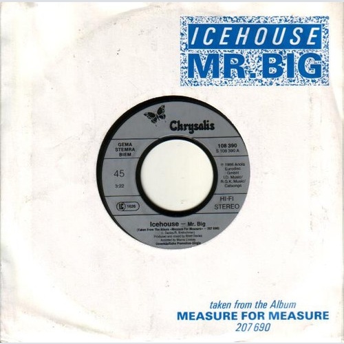 Icehouse - Mr. Big (7", Single, Promo)