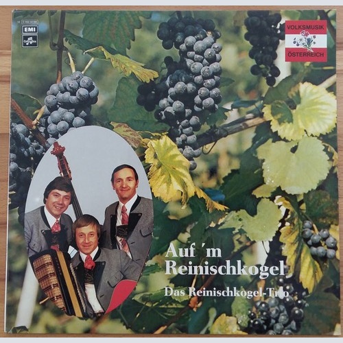 Das Reinischkogel-Trio - Auf 'm Reinischkogel (LP)