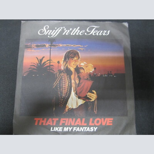 Single / Sniff 'n' the Tears – That Final Love  / DE   PRESS /