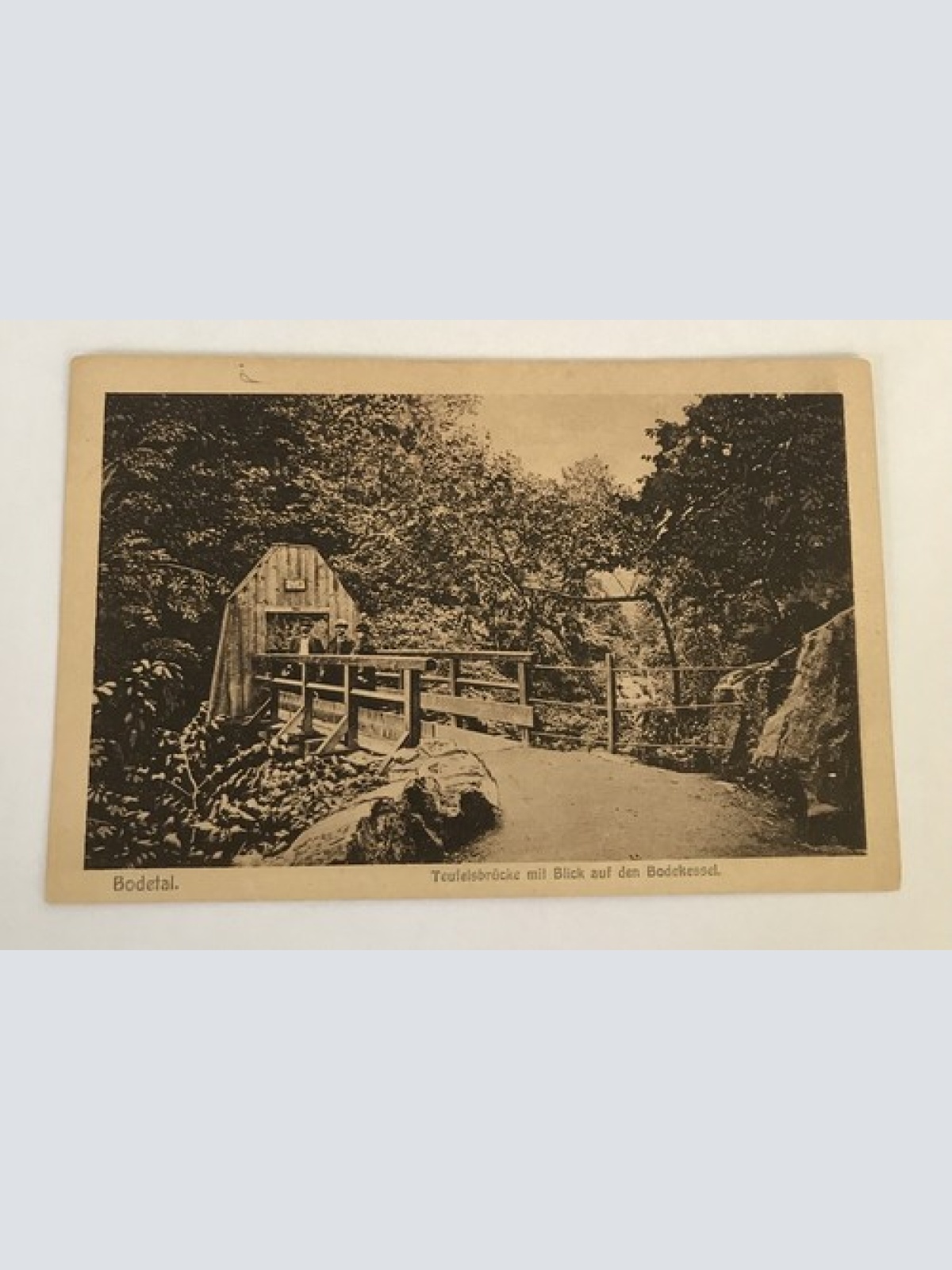 ansichtskarten, Bodetal, Teufelsbrücke, Blick auf Bodekessel (40038 BW)