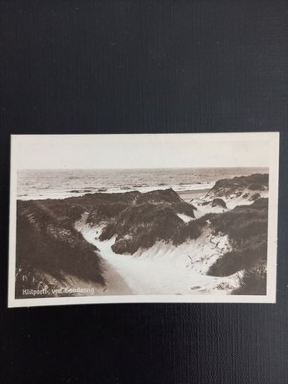 Ansichtskarte Klitparti ved Sondervig 400459 gr F