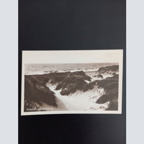 Ansichtskarte Klitparti ved Sondervig 400459 gr F