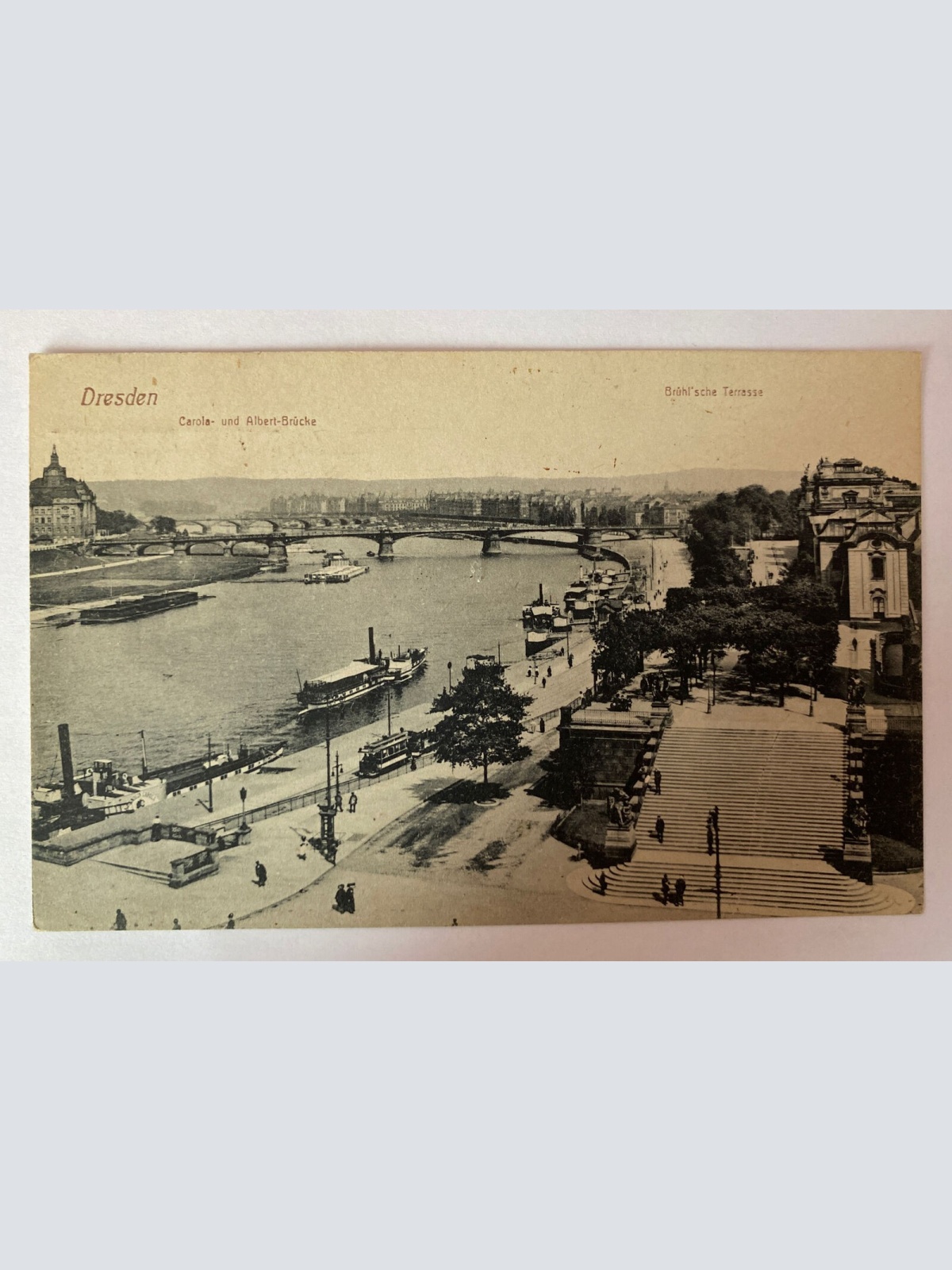 Ansichtskarte Dresden, Carola-und Albert-Brücke, Bühl'sche Terasse 410029 AH