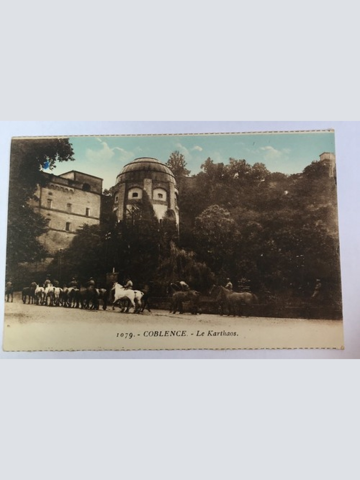 AK, Rheinland Pfalz, 1079, Coblence, Le Karthaos, Pferde (40078 BW)