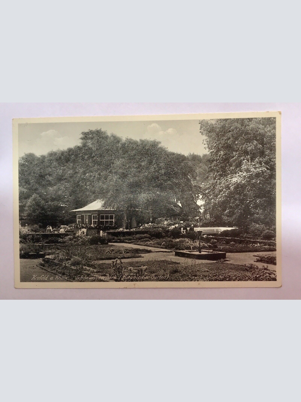 AK, Krefeld, Rhein, Schönwasserpark, Botanischer Garten (40018 BW)G