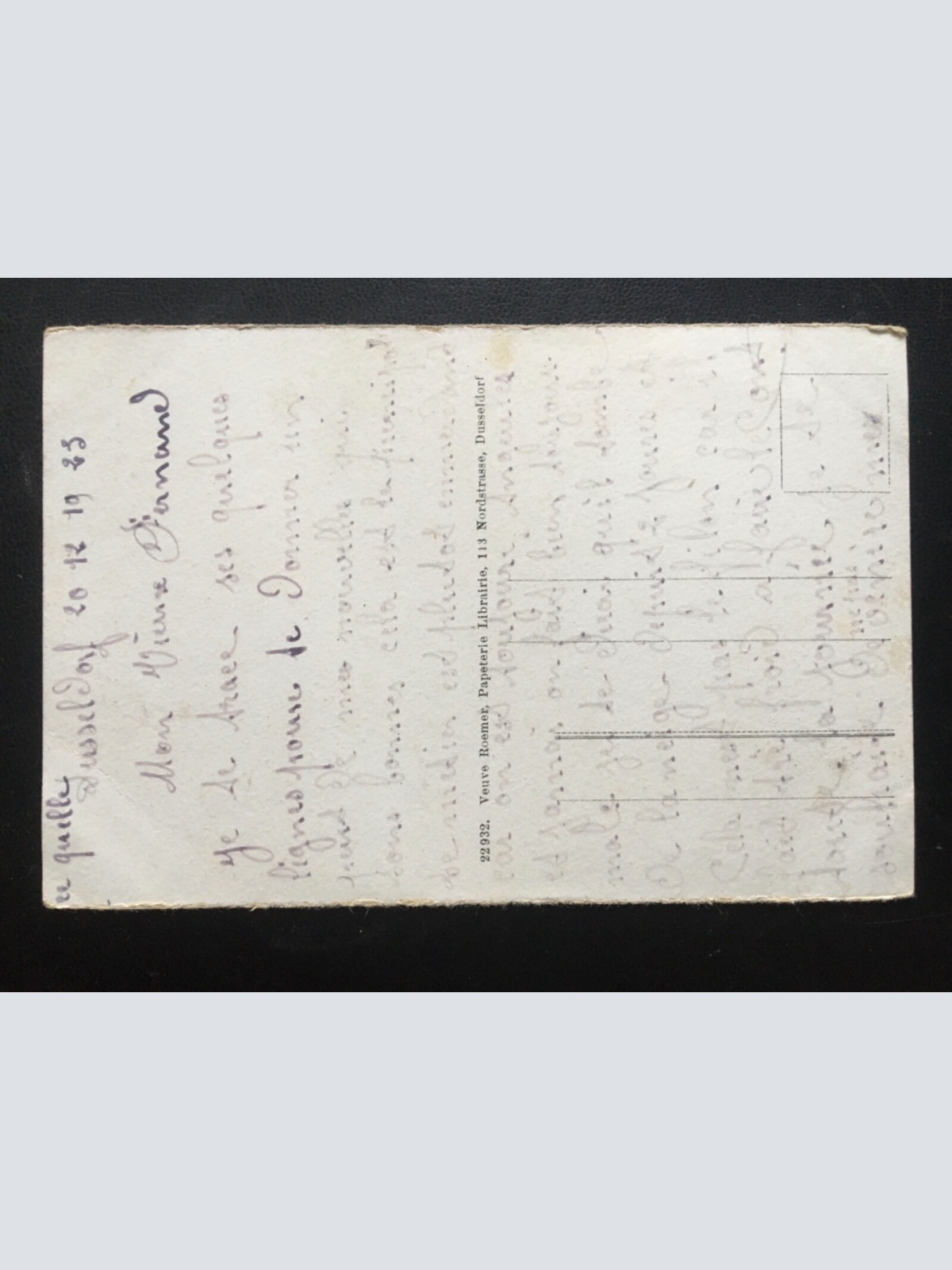 Düsseldorf - Partie dans le Hofgarten - Gänse Parkbank See 180104 TH